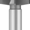 BOSCH FÖRSÄNKARE HSS M10 5SKJ 20MM Best
